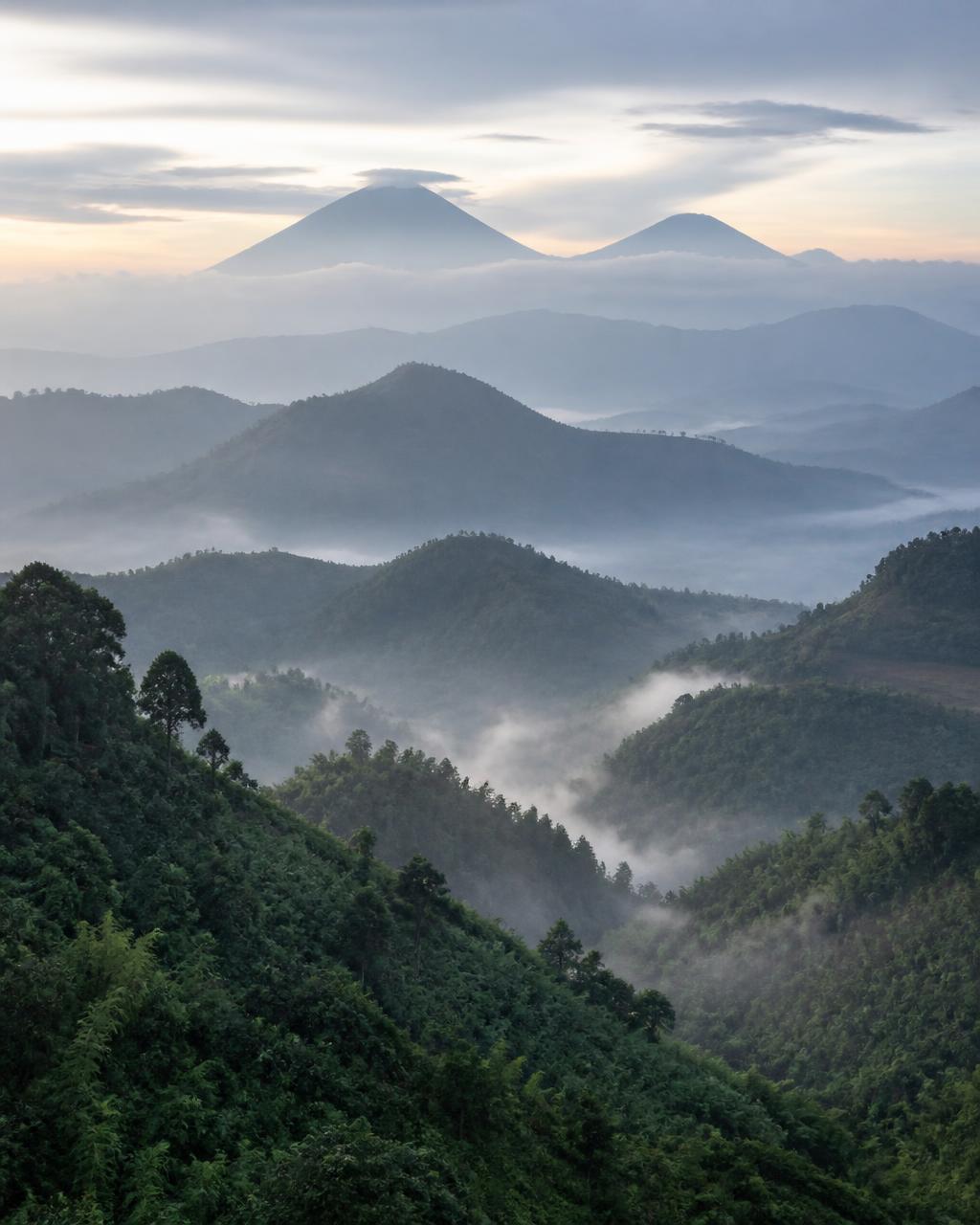 Mist rising over the forested ridges and volcanic peaks of north-west Rwanda at dawn
